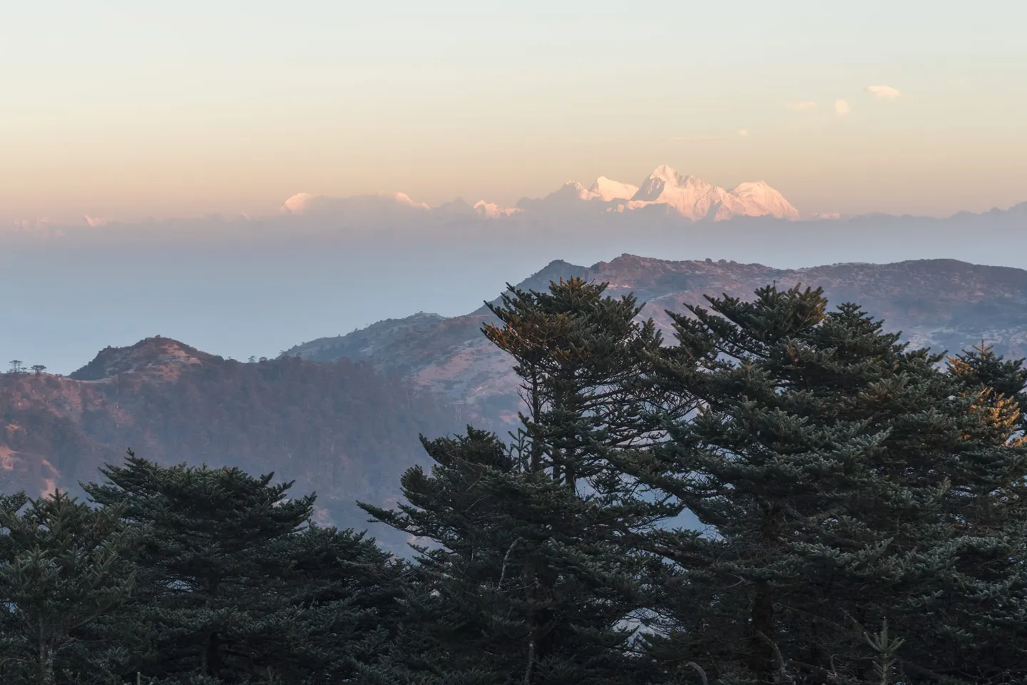 Lhotse, Everest, Makalu and Chomo Lonzo catching first light on the far horizon, seen from Sandakphu across a hundred kilometres of haze