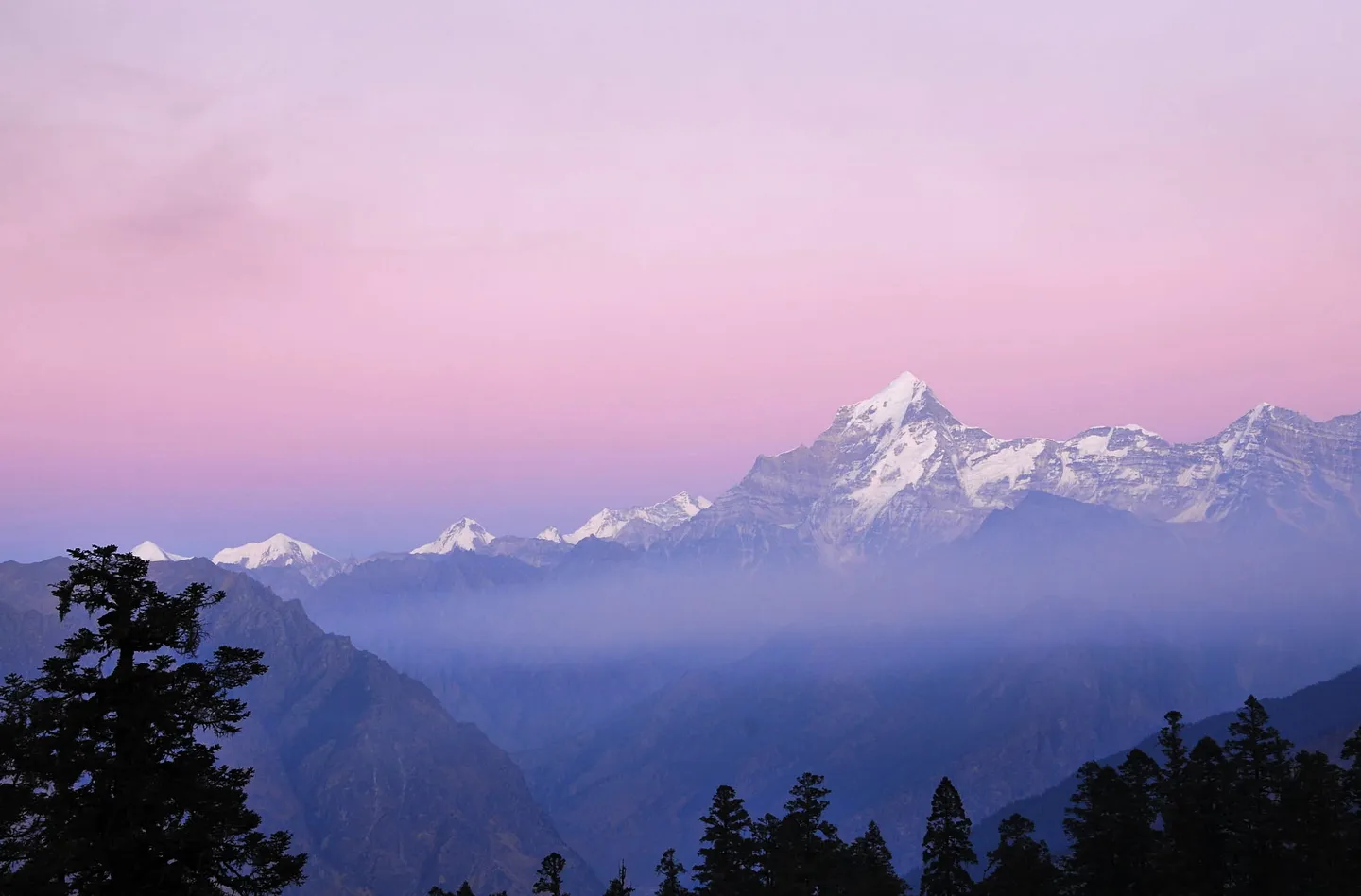 Dunagiri, which the photographer's description names, seen from the Kuari Pass trail: a steep snow-capped pyramid on a long ridge under a pink and violet sky, with blue haze filling the valleys and dark conifers in the foreground.
