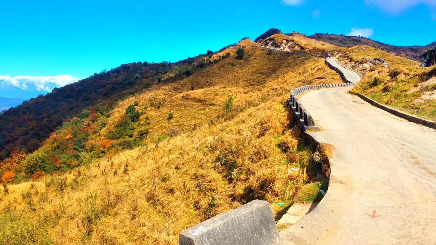 The Singalila ridge track at Tumling in autumn — a rough concrete lane along the crest, with dry gold grass on one side and the drop into Nepal on the other
