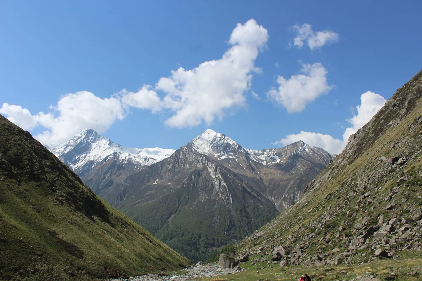 Snow peaks above a grazing meadow and a braided stream in Govind Pashu Vihar Wildlife Sanctuary, on the Sankri approach