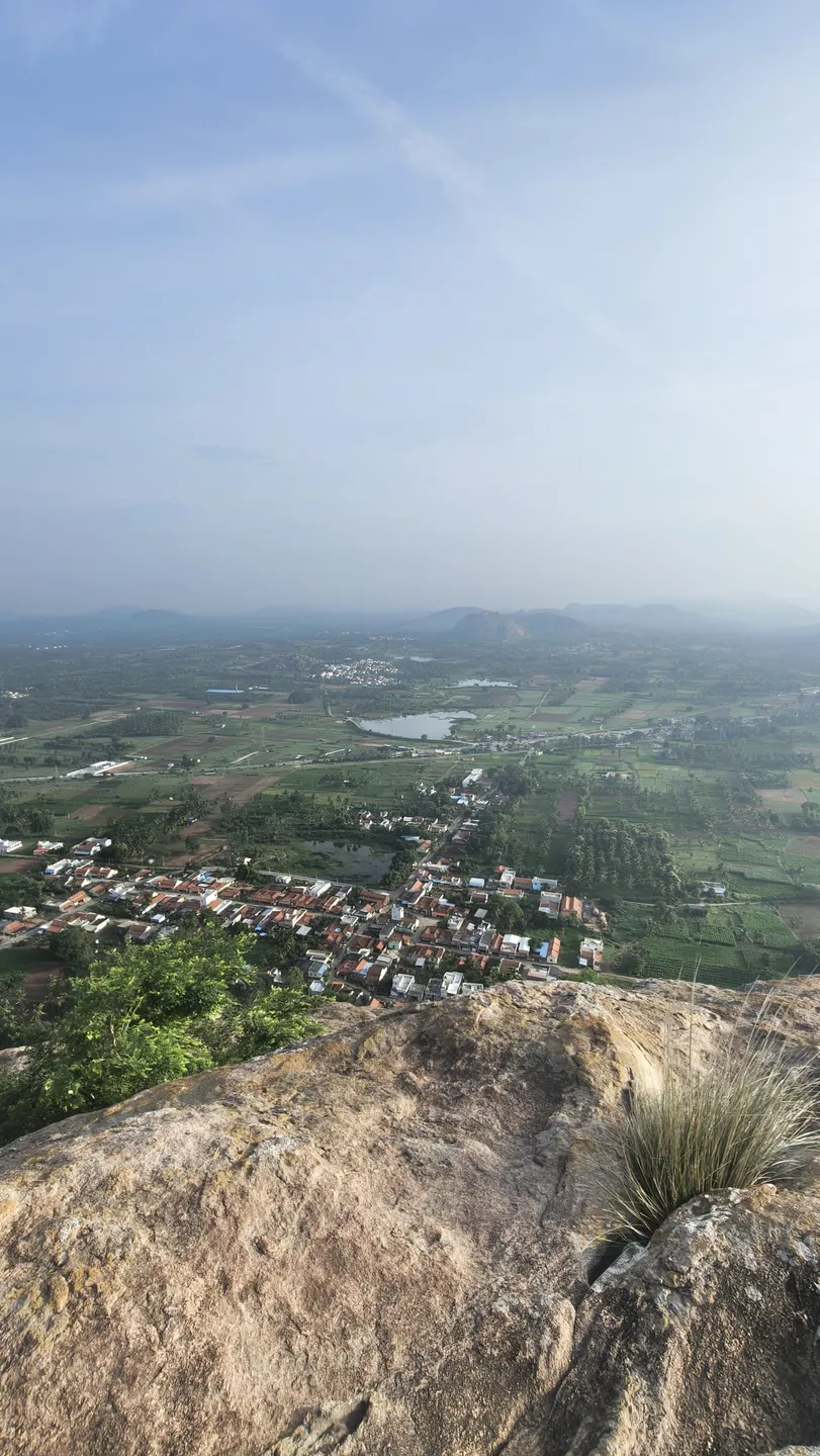 The view straight down from the summit rock of Achalu Betta over Achalu village — red-tiled roofs packed along one street, a green pond at the village edge, then an open plain of paddy squares and coconut plantation, two irrigation tanks catching the light, a road running across the middle distance and a line of low blue hills along the horizon. A tuft of coarse grass grows out of the granite in the foreground. Photographed in August, at the end of the monsoon.